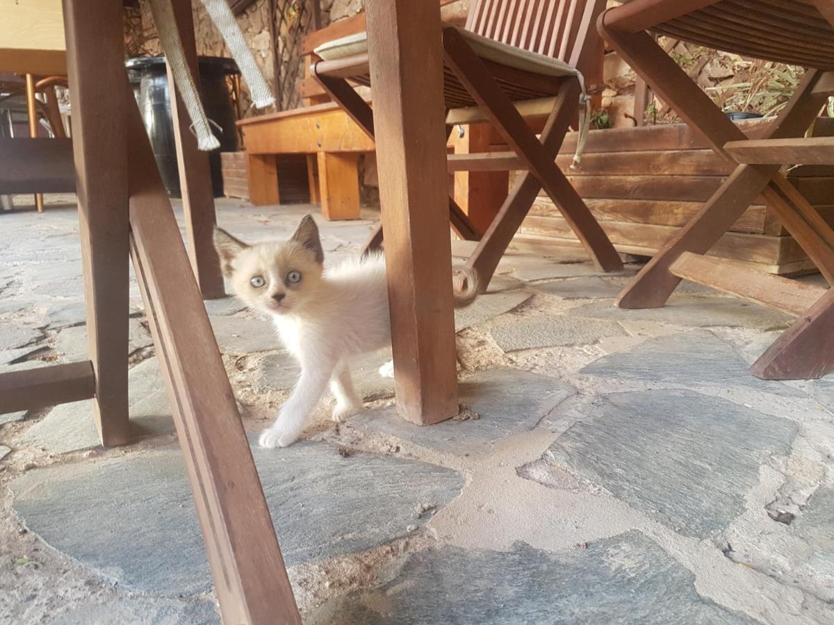 Villa La Vista De Tefía Kültér fotó